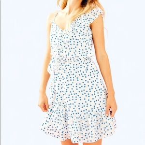 NWT Lily Pulitzer Madeline dress